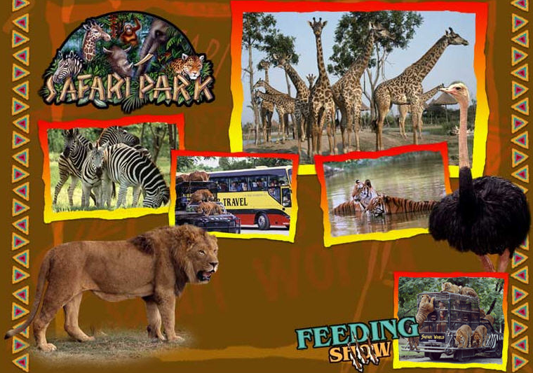 Safari World : Feeding Show (Bangkok - Thailand)